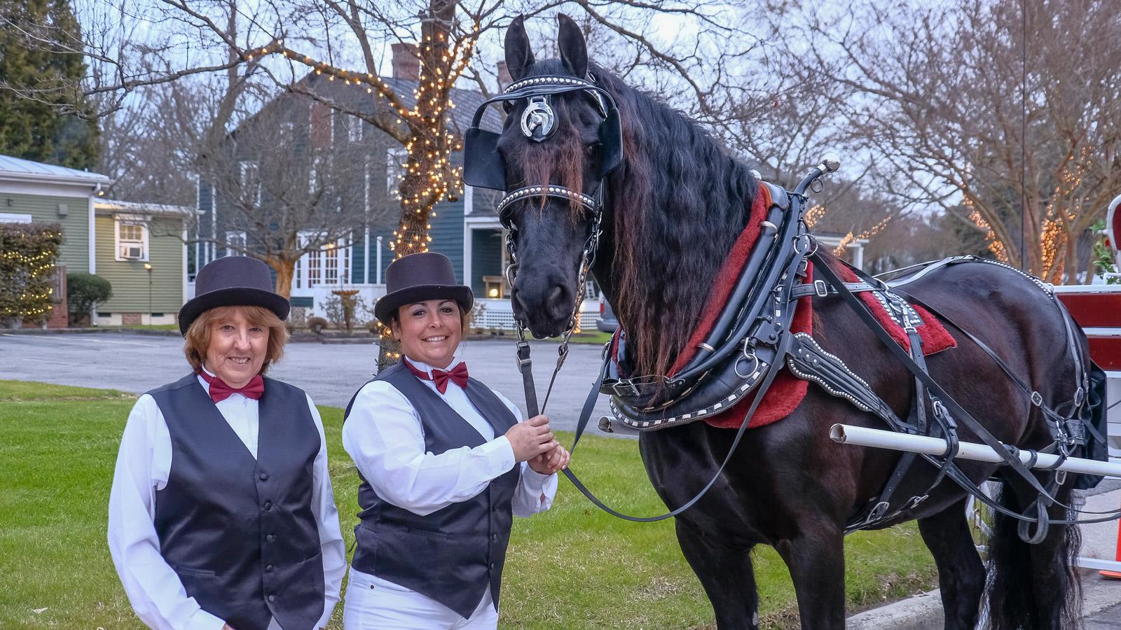 Horse and buggy ride in Edenton NC